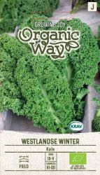 Kale Westlandse Winter ORGANIC Seeds